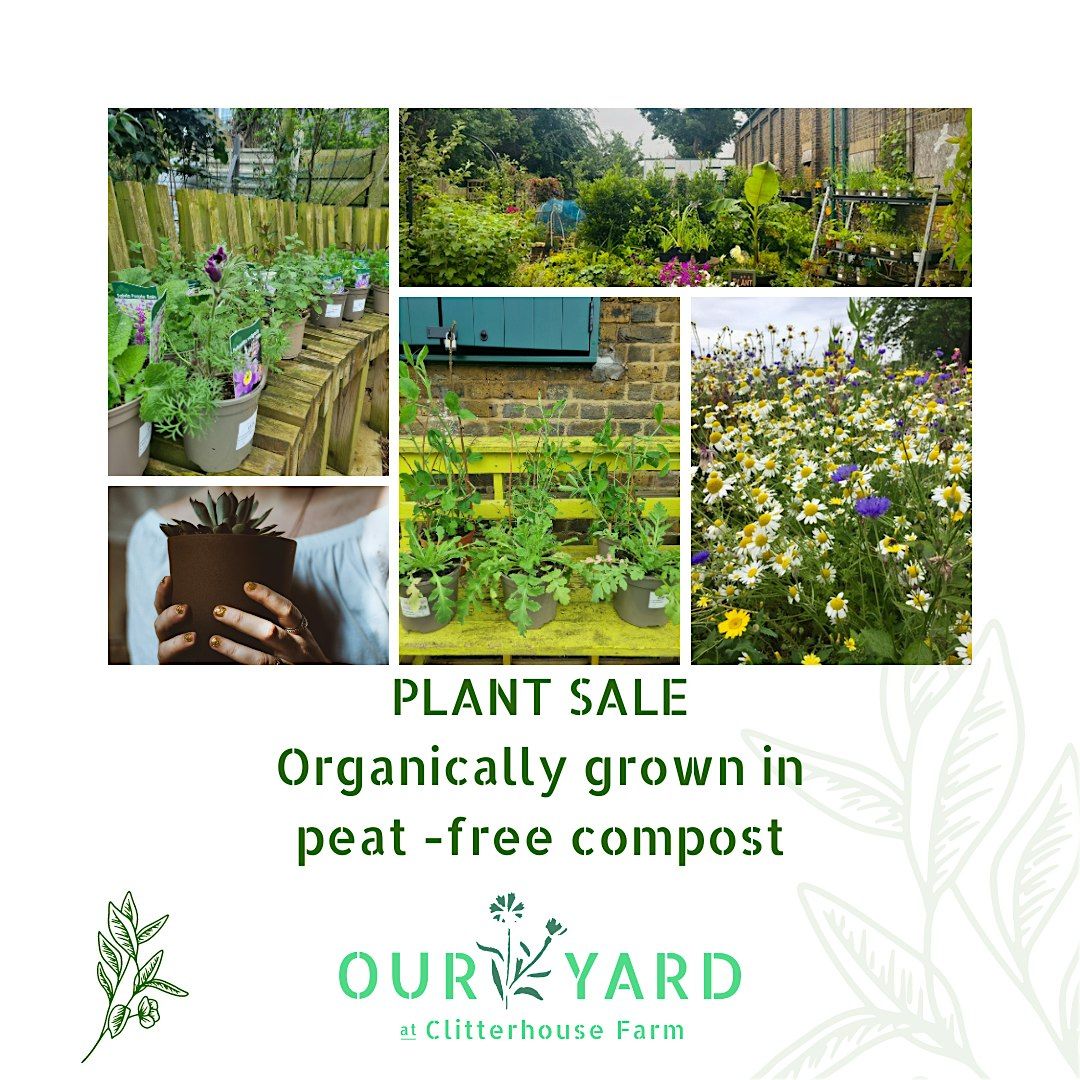 Plant Sale at Clitterhouse Community Garden
