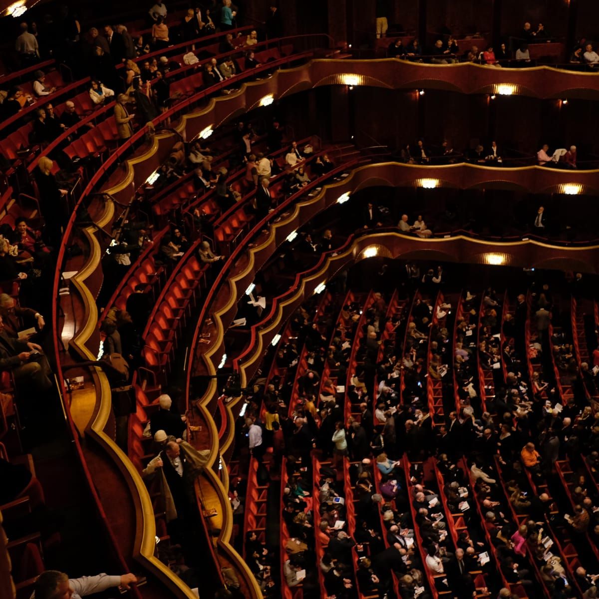 TJ Miller - Todd Joseph Miller at The Wilbur