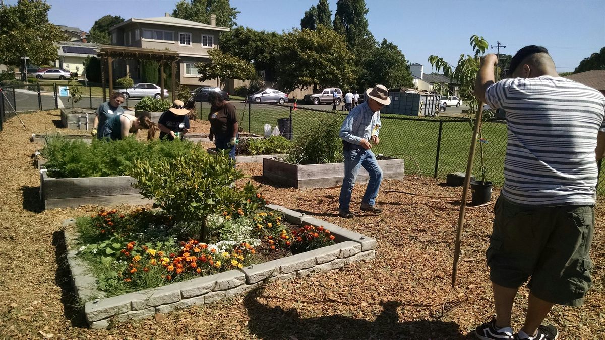 Gardening 101