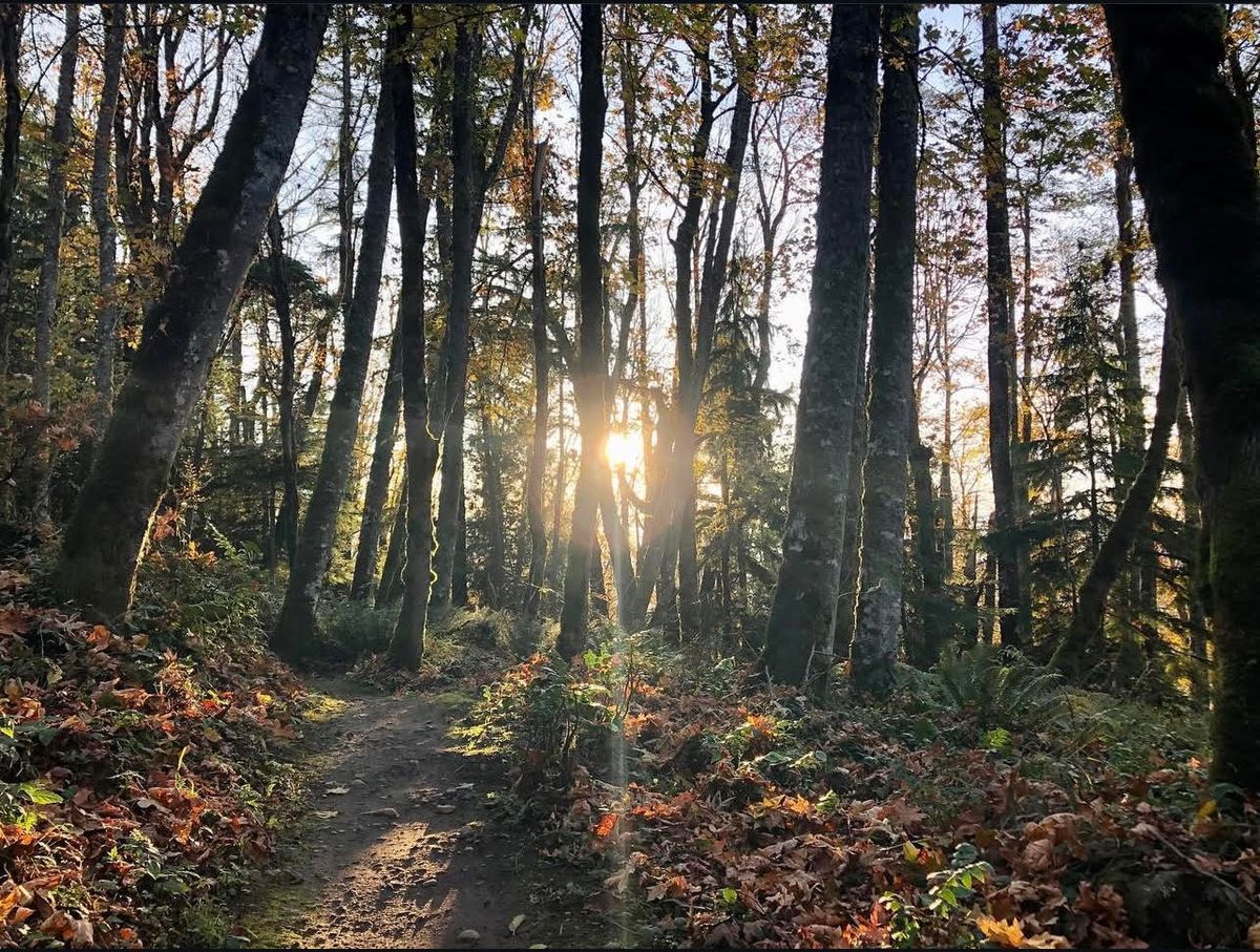 Explore Grand Ridge Park