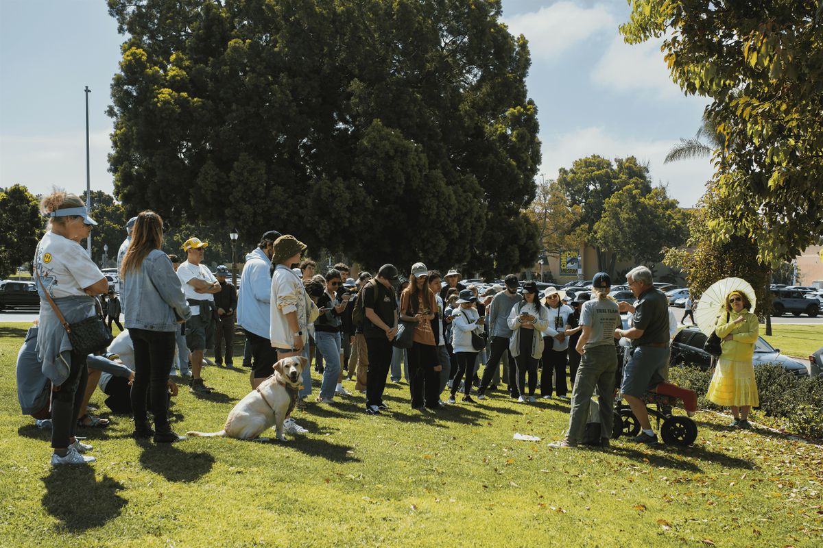 Tree Treks at Collier Park