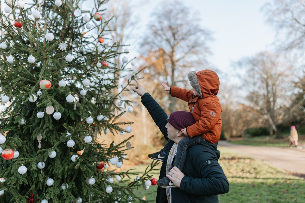 The Christmas Quest | Outdoor Family Trail