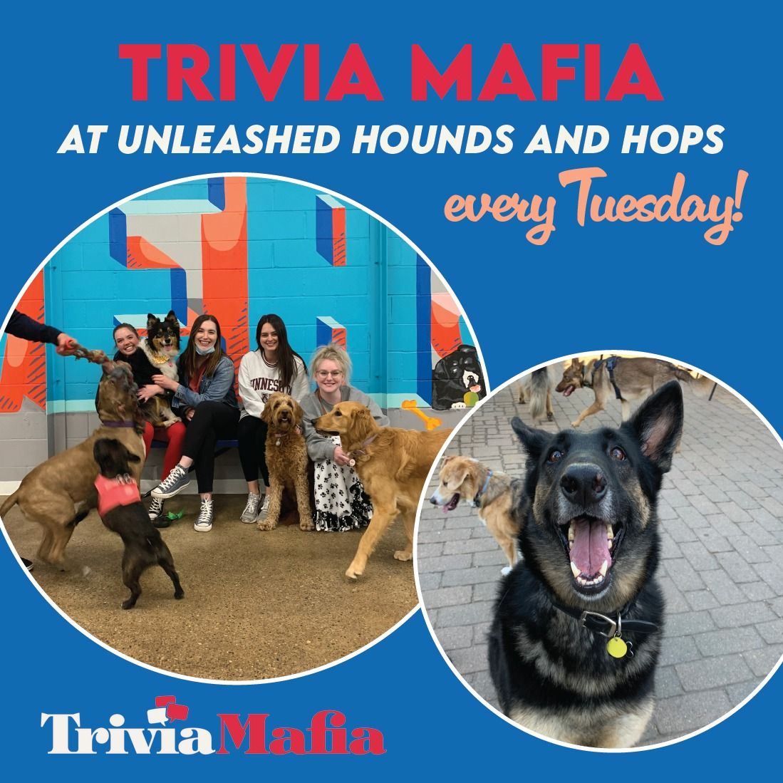 Trivia Mafia @ Unleashed!