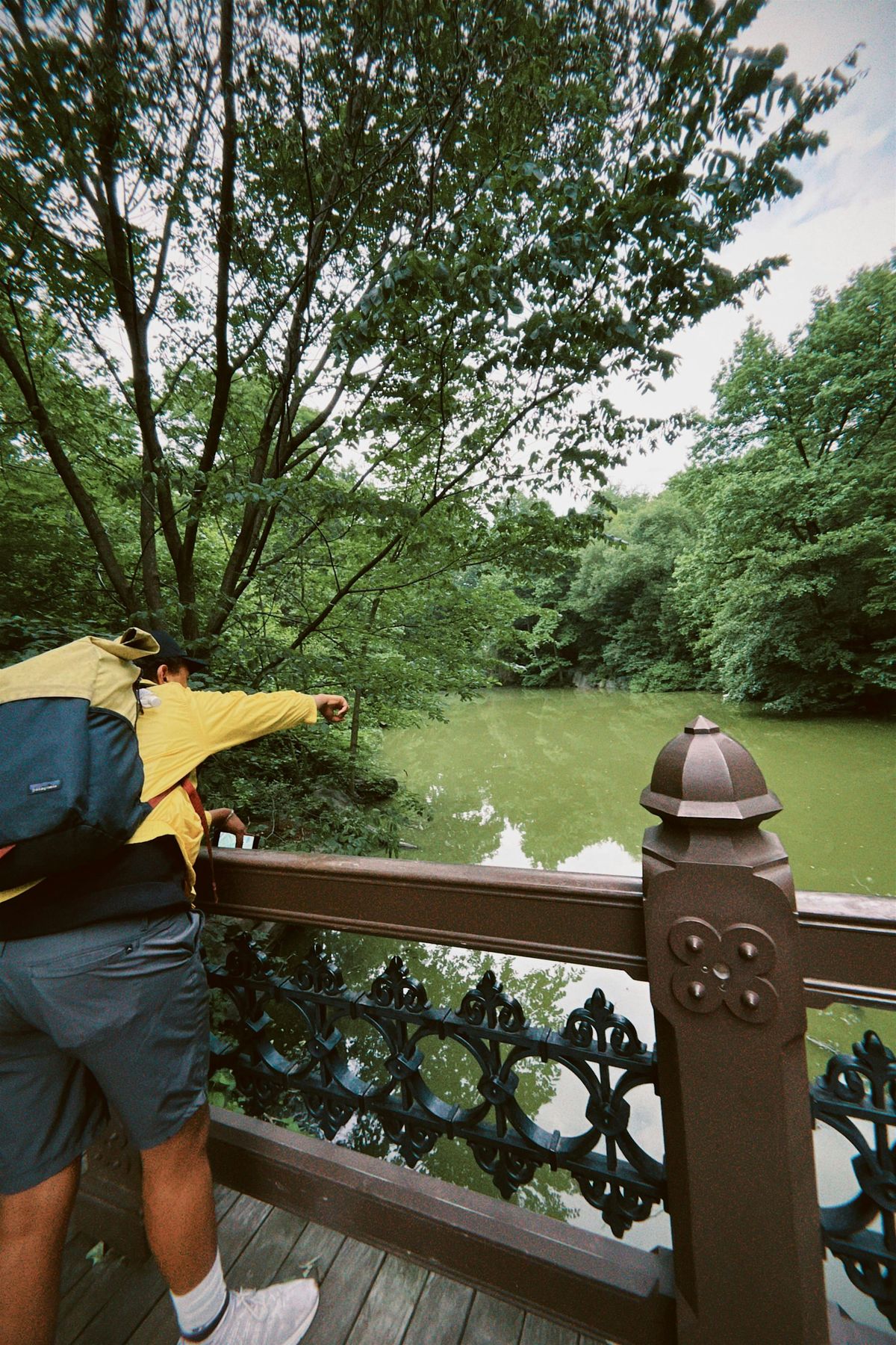 Spontaneous Film photography and walk in Central Park