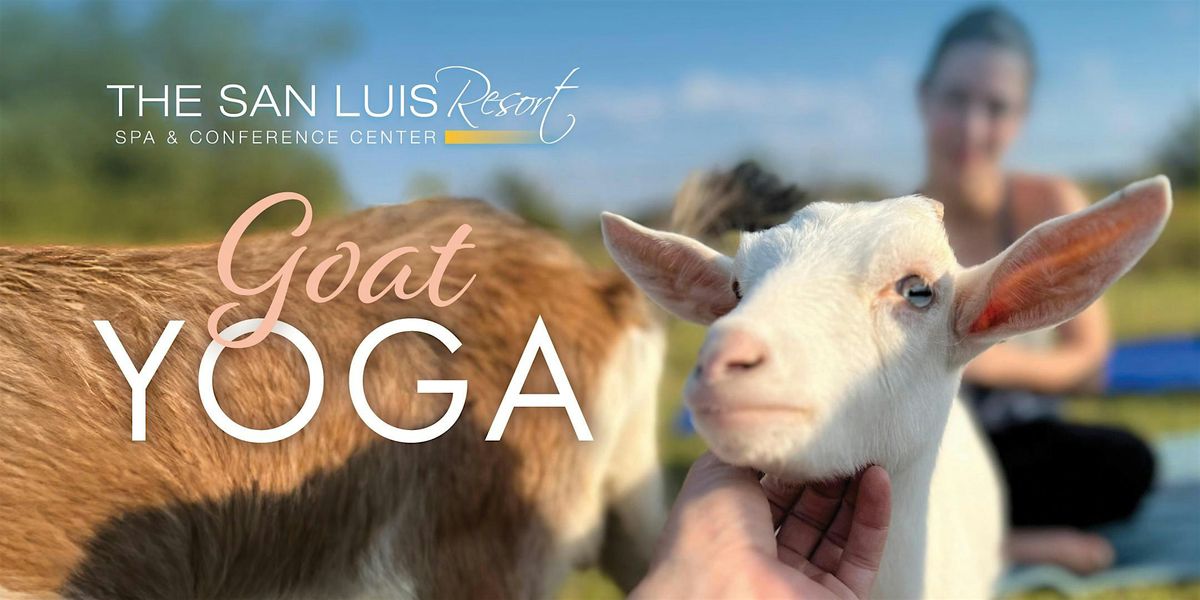 Goat Yoga at The San Luis Resort