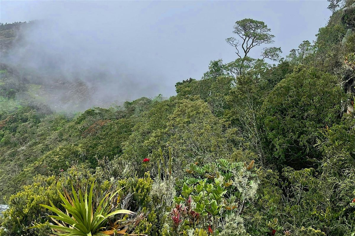 LSU Science Caf\u00e9: Botanical Secrets of the Tropical Andes