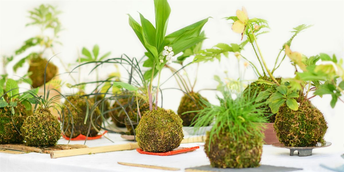 Deluxe Kokedama Workshop