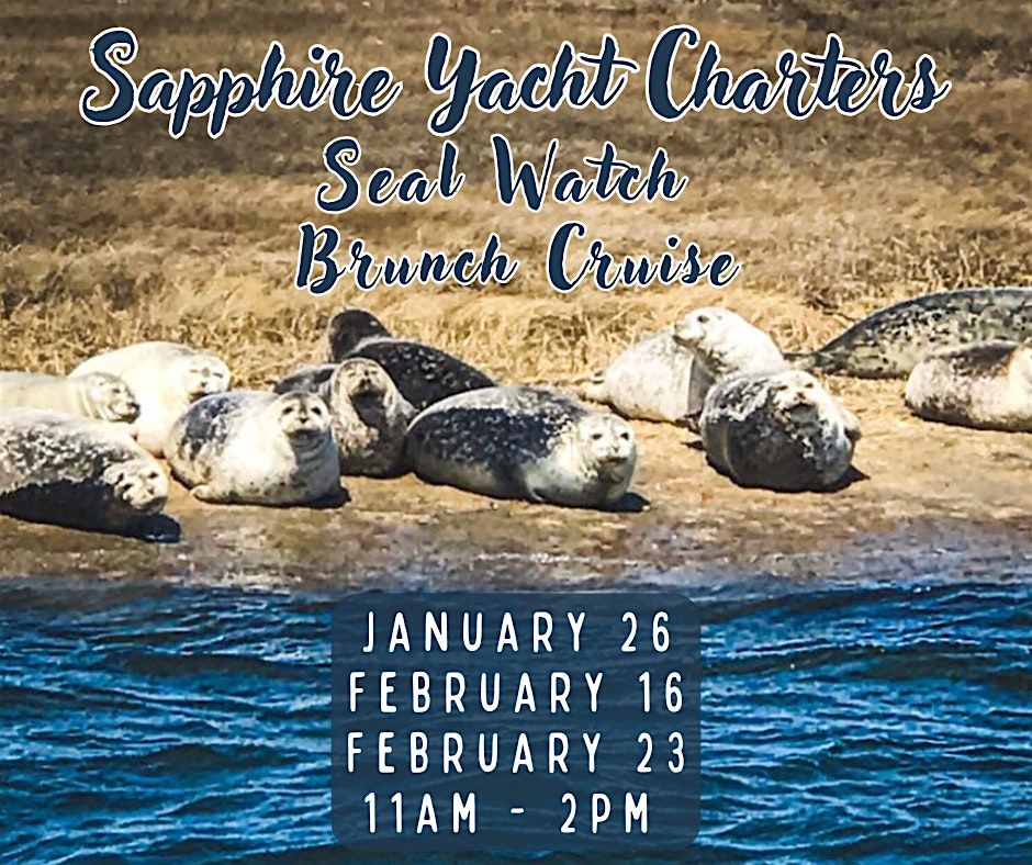 Seal Watch Brunch Cruise