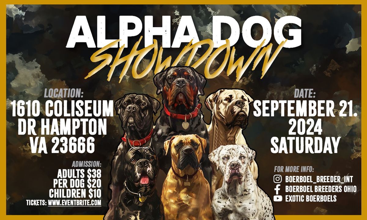 Alpha Dog Showdown 