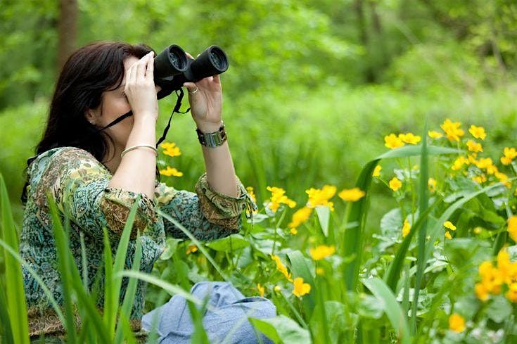Springtime Symphony:  Naturalist-led birdwatching hike.