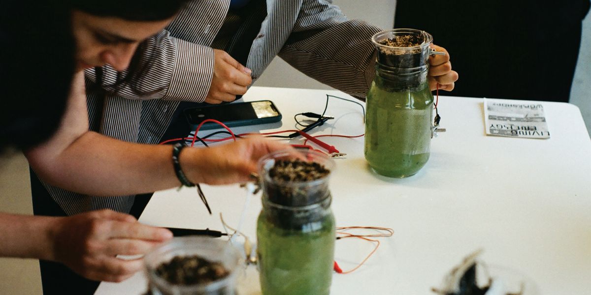 Living Energy Workshop @ Phycologica