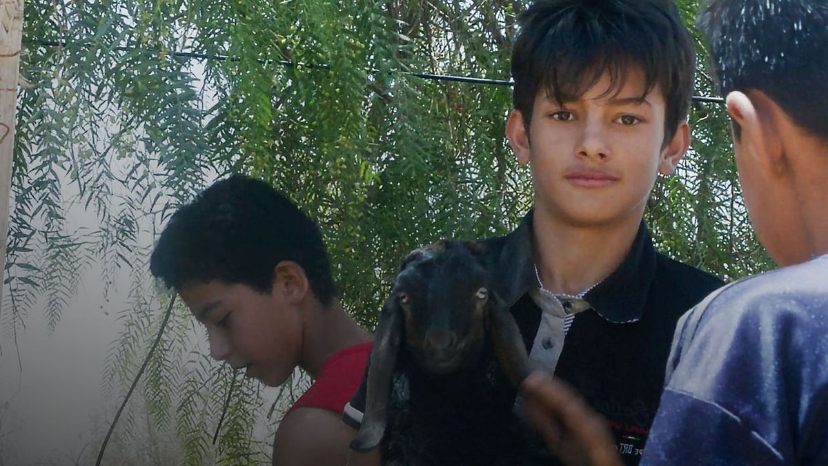 Light the World Giving Machines are coming to our area