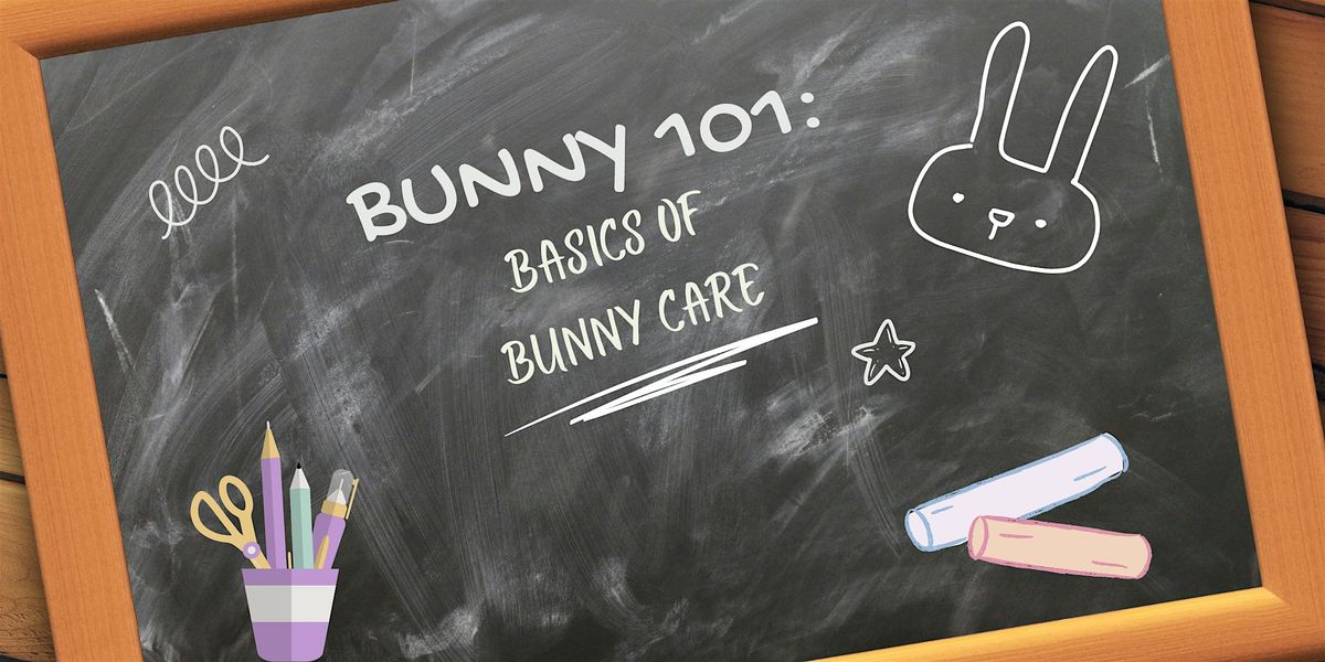 BUNNY 101: Basics of Bunny Care