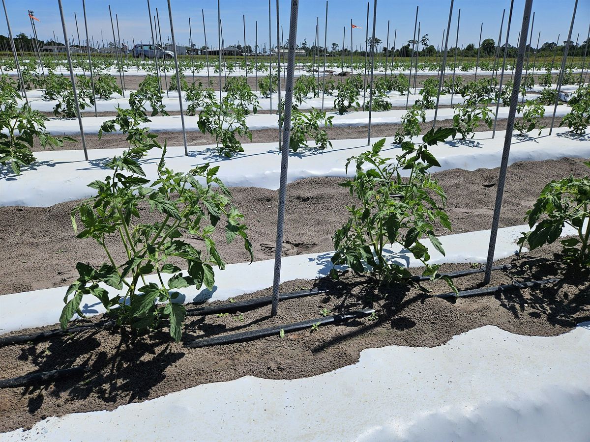 Precision Irrigation\/Fertigation and Water BMPs for Small Farms
