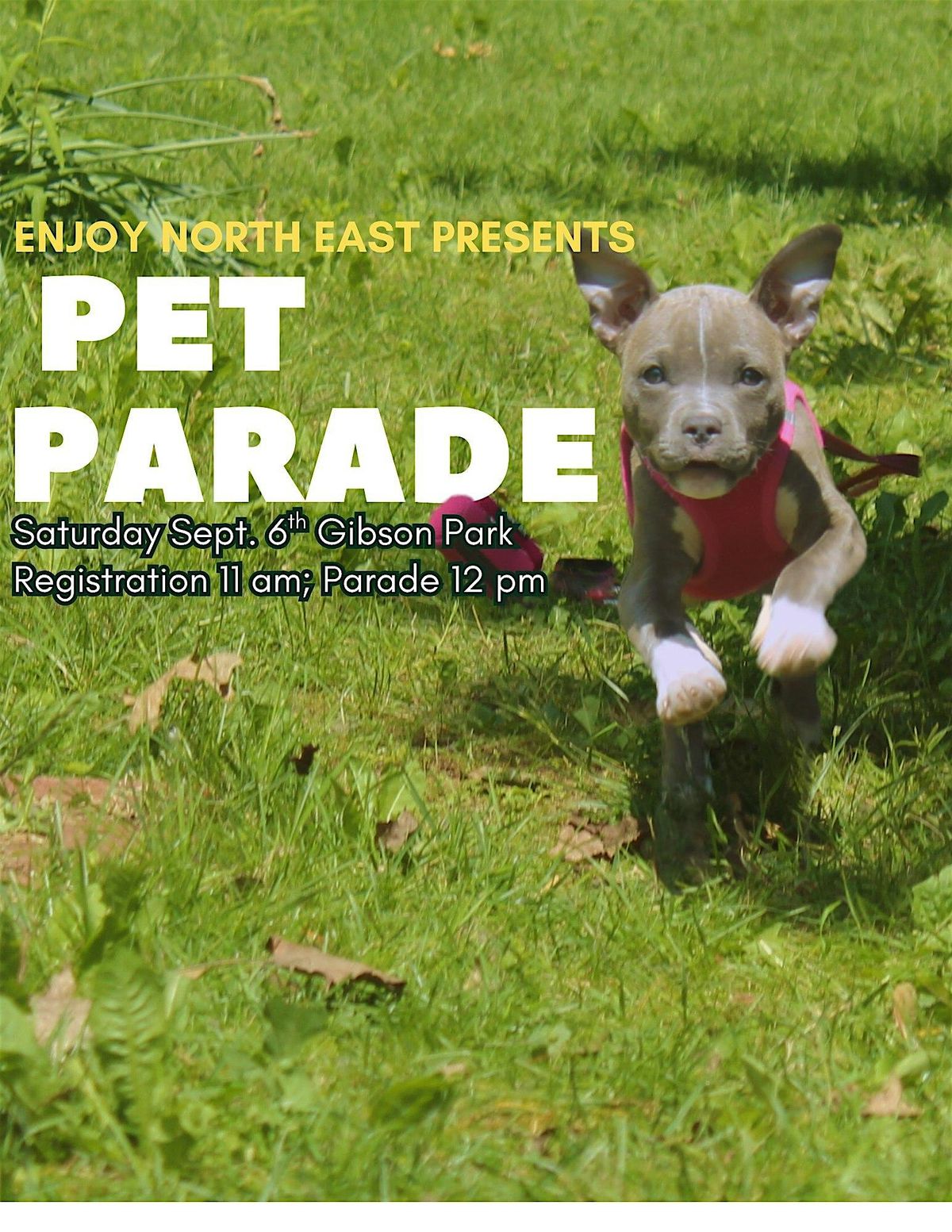 2025 Pet Parade- Dynamic Duos