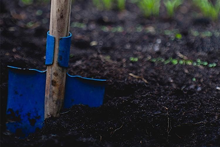 Introduction to Square Foot Garden Planning