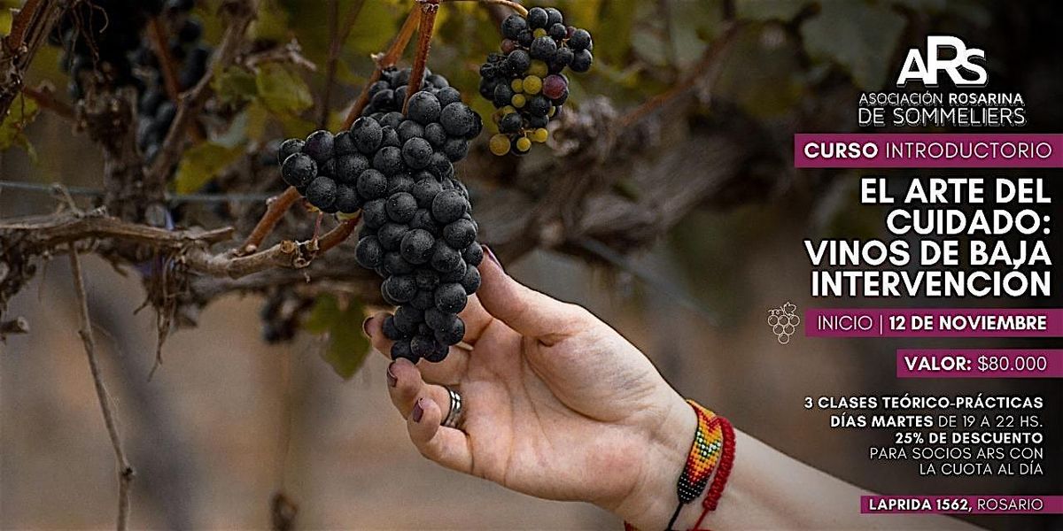 Curso Introductorio "El Arte del Cuidado: Vinos de baja intervenci\u00f3n"