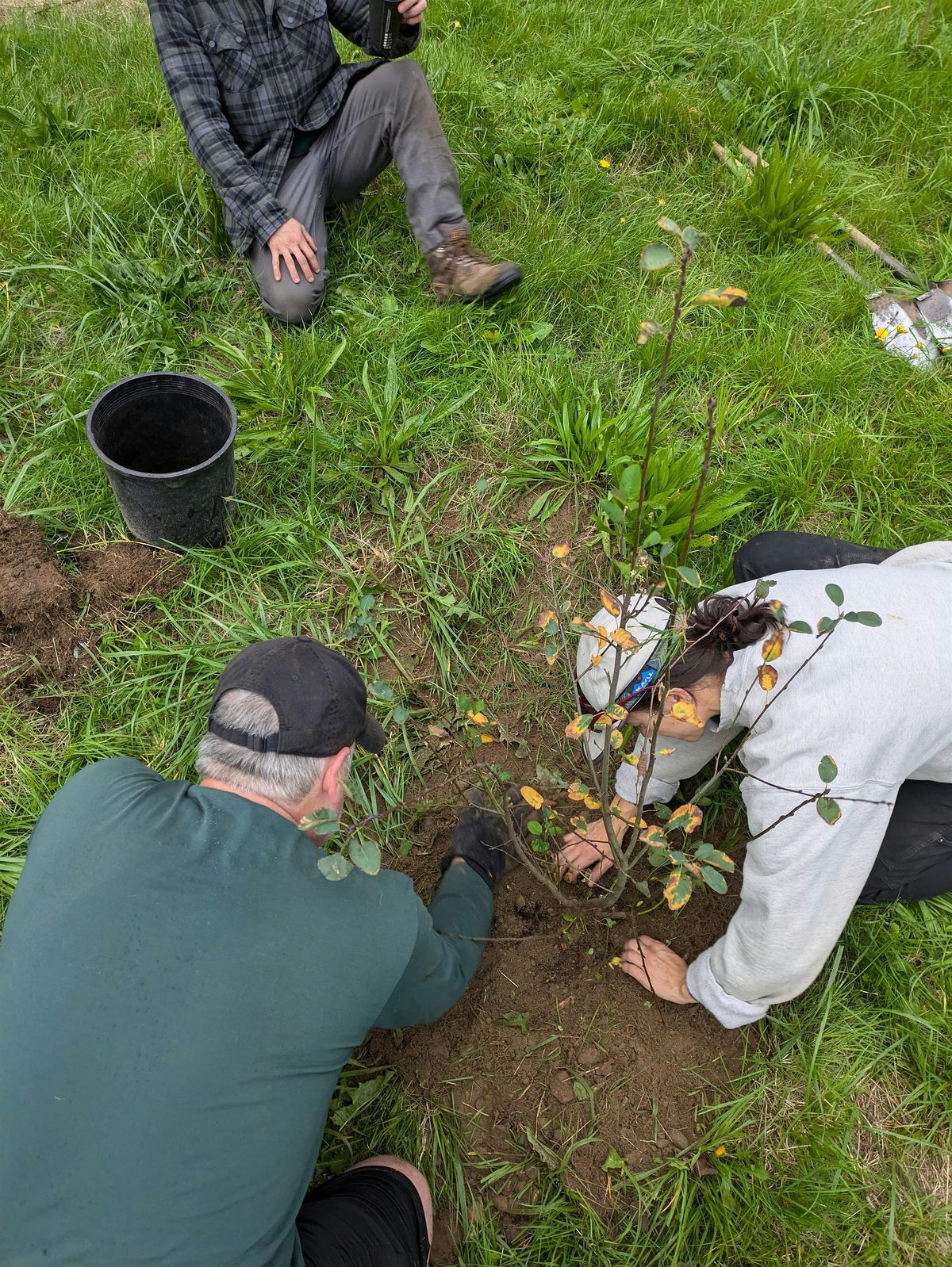 Tree Planting on the Interurban Trail