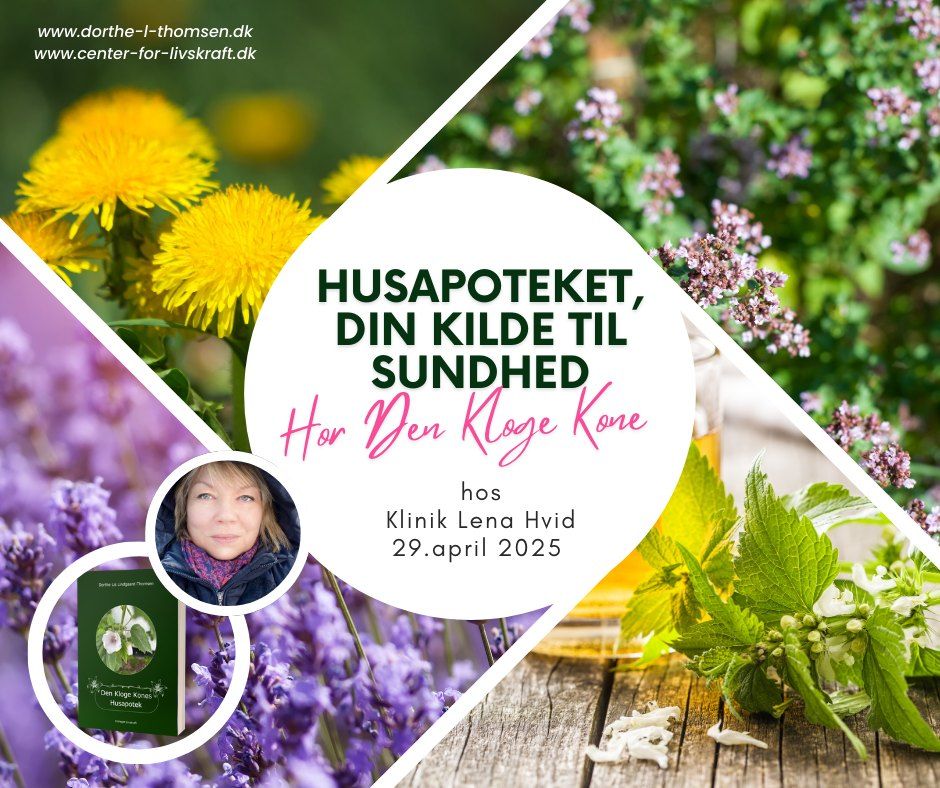 Den kloge Kone: Dorte Lis Lindgaard-Thomsen: Huspoteket - naturens kilde til din sundhed