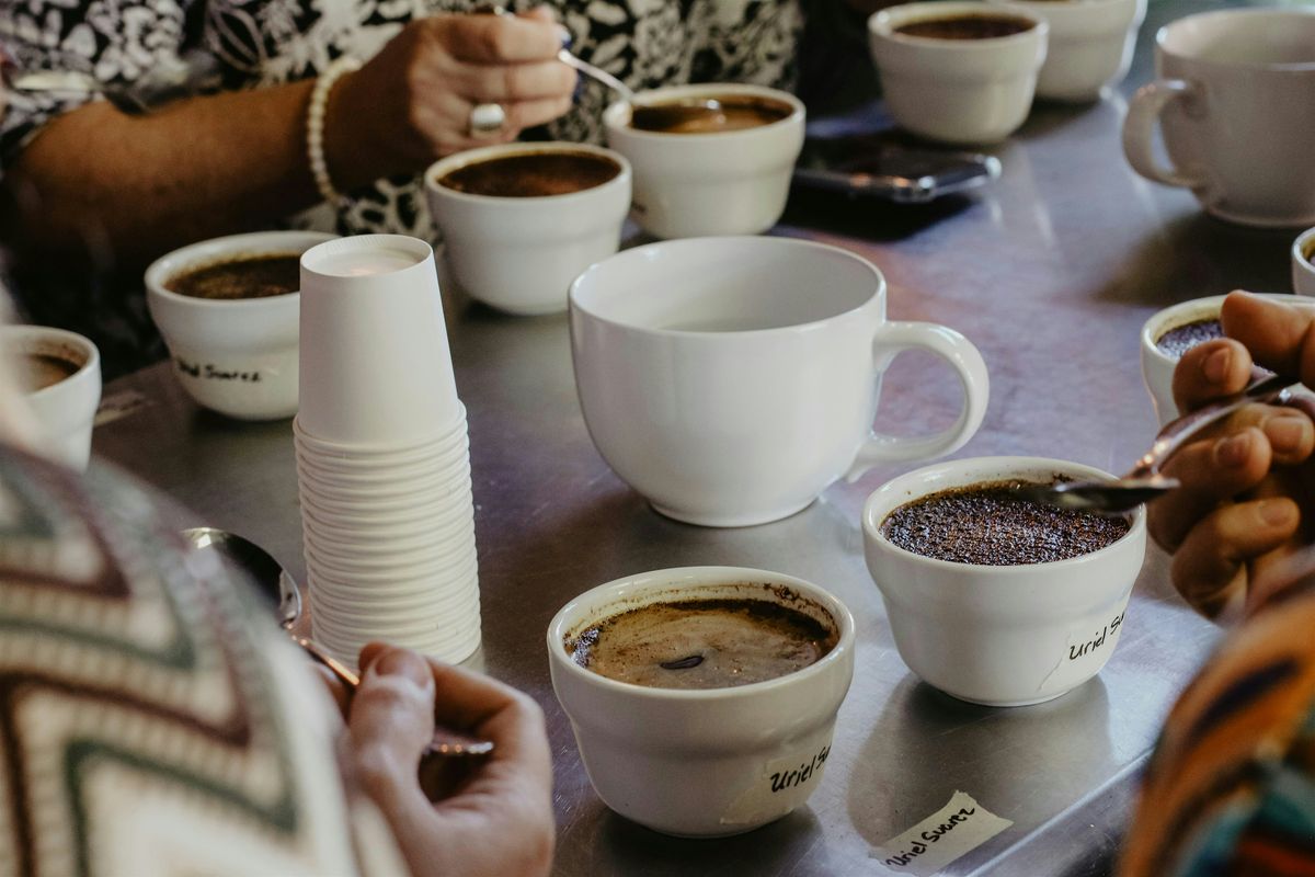 Intro to Coffee Cupping: Process & Tasting Workshop at Seattle Coffee Gear