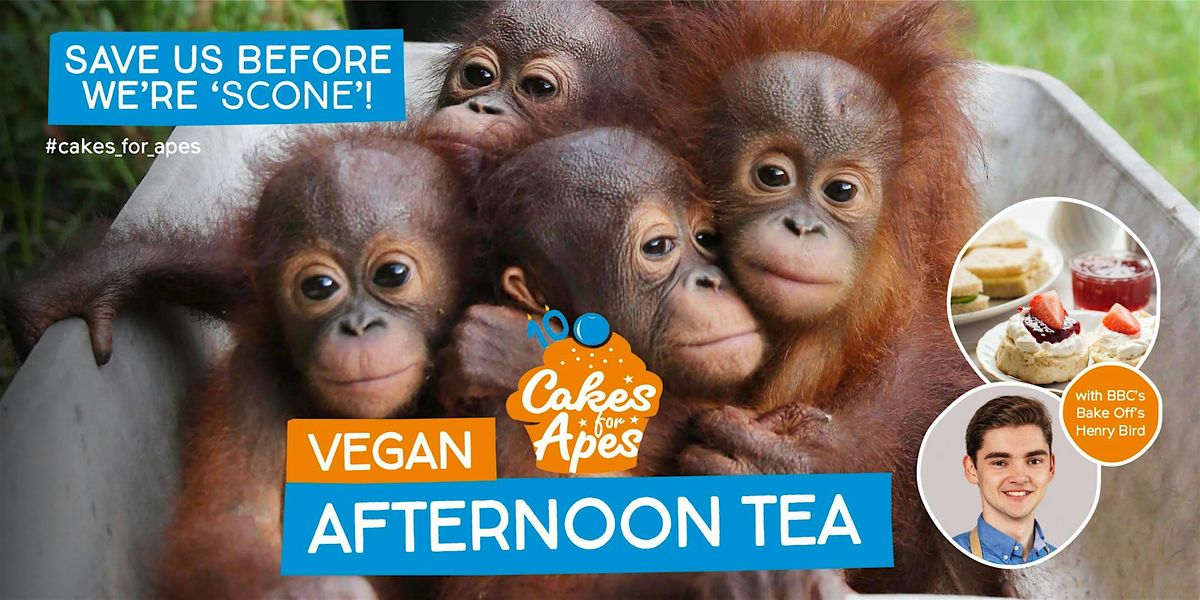 Vegan Cakes for Apes Afternoon Tea