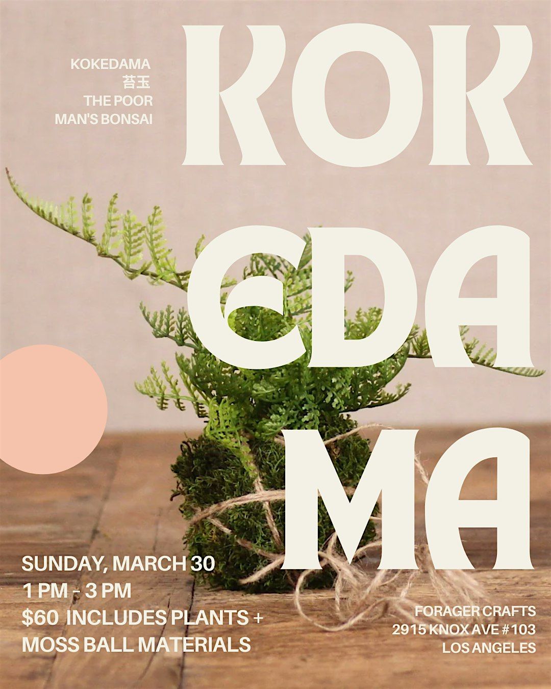 Kokedama Workshop  (Fern, Pothos, or Orchid!)