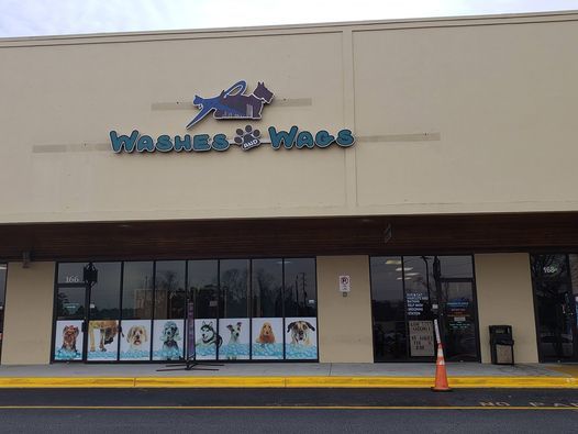 Washes and Wags Low Cost Pet Vaccine Clinic