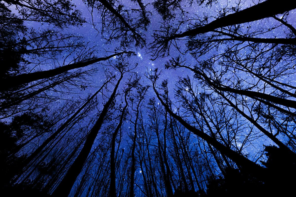 The Universe Is Speaking\u2014Are You Listening?