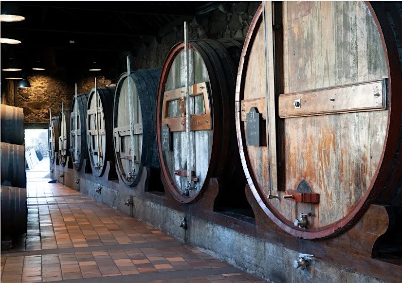 A Fortified Adventure at Amathus Wine Warehouse