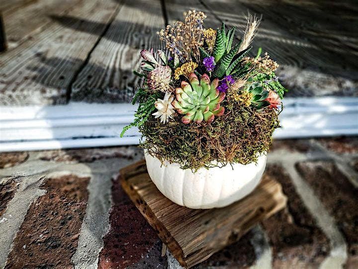 Farm Succulent Terrariums Workshop