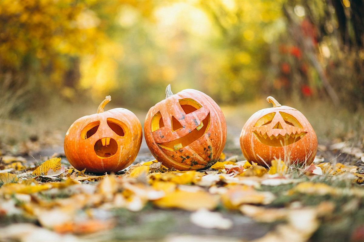 Halloween Wildfamilies at Ladderedge Country Park