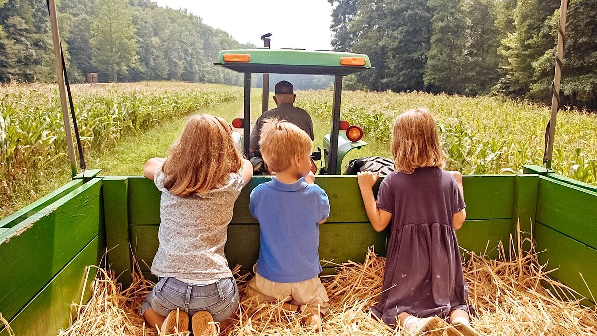 Evening Hayride