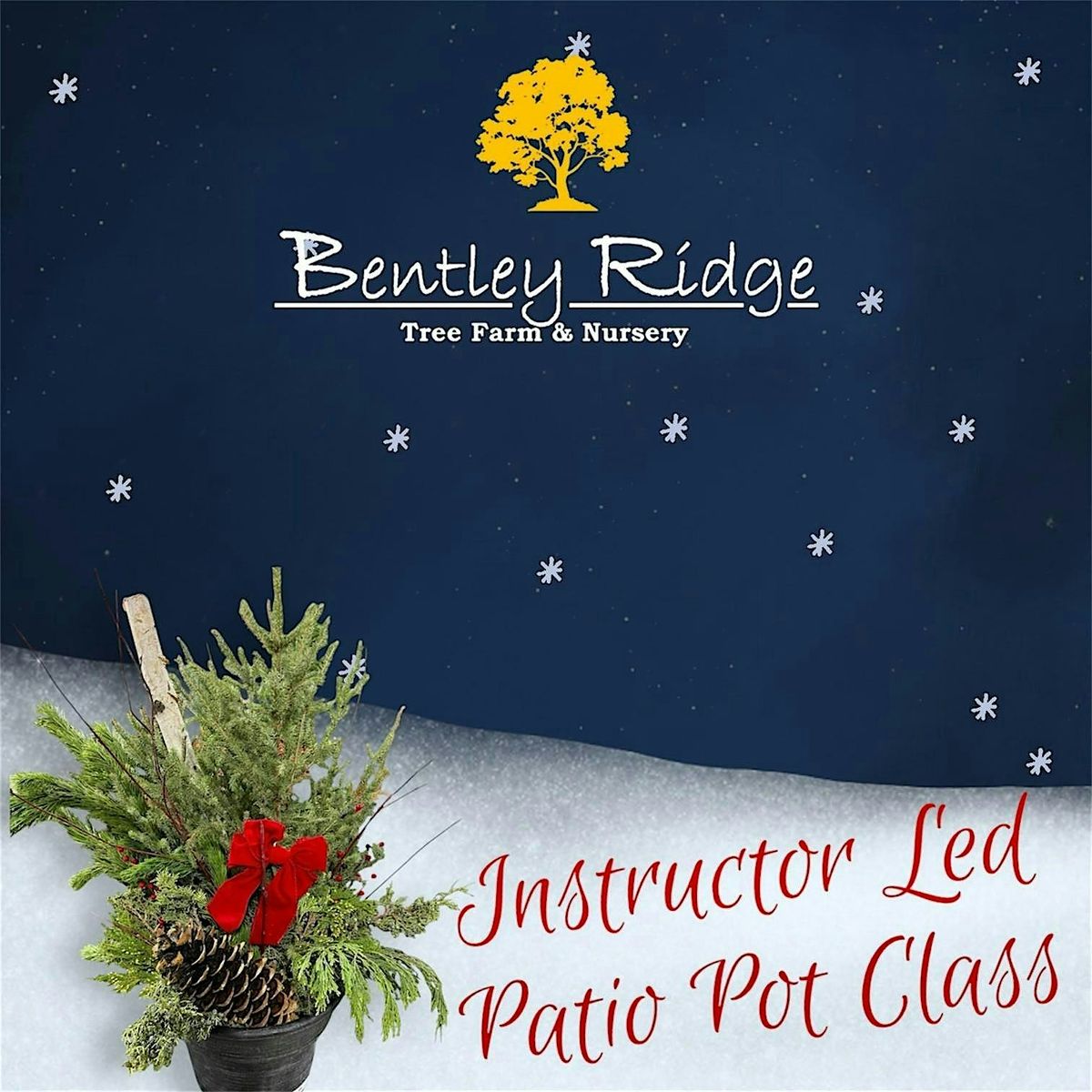 Instructor Led Christmas Patio Pot 2 - 2025
