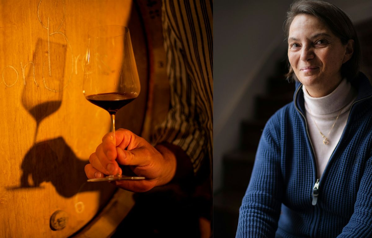 Meet the winemaker \u2013 Claude de Nicolay of Domaine Chandon de Briailles