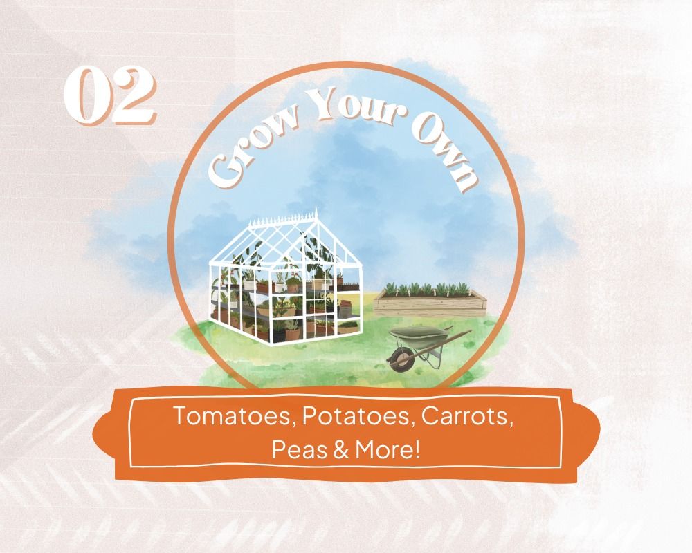 Grow Your Own Series - 02 - Tomatoes, Potatoes, Carrots, Peas & more...