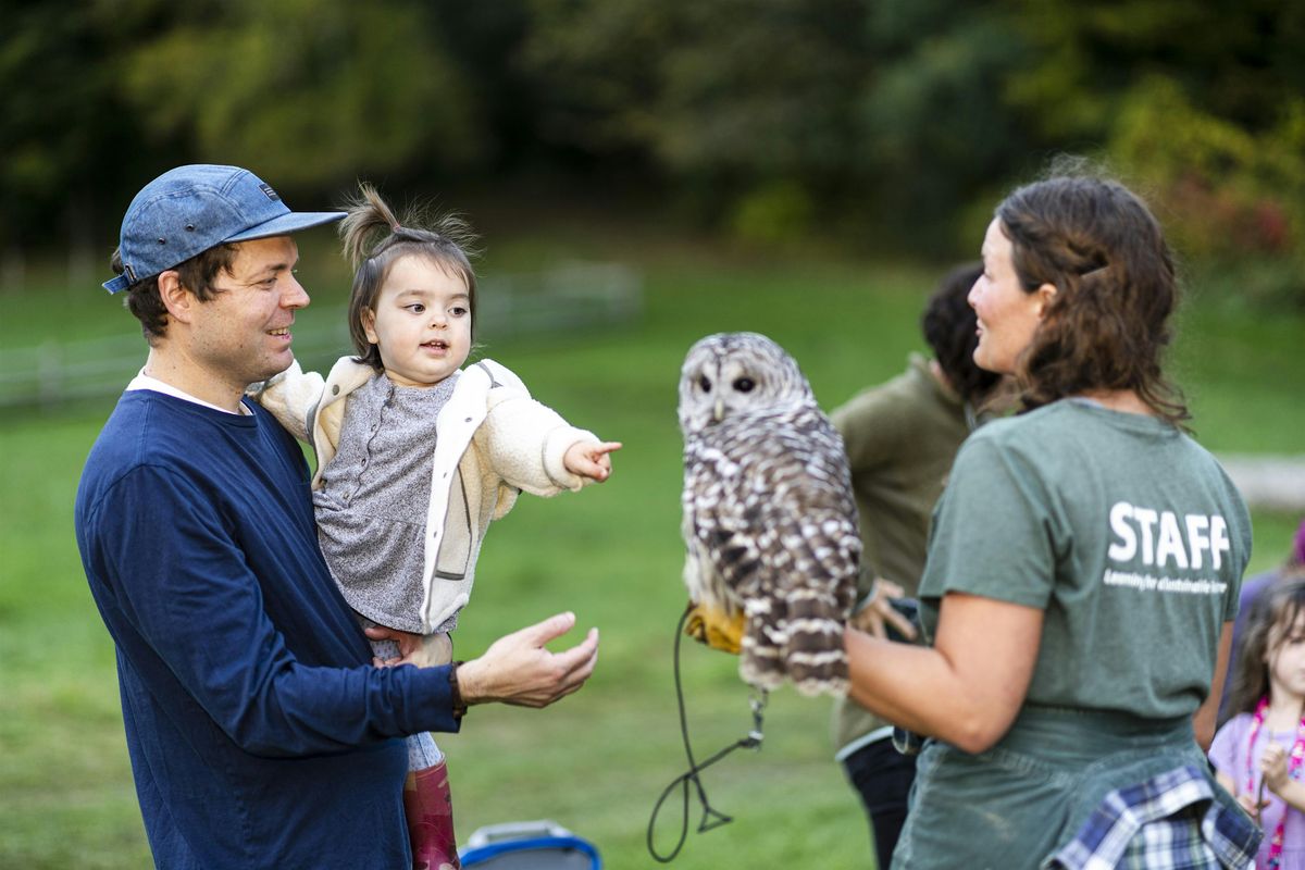 Owls on the Farm Campfire