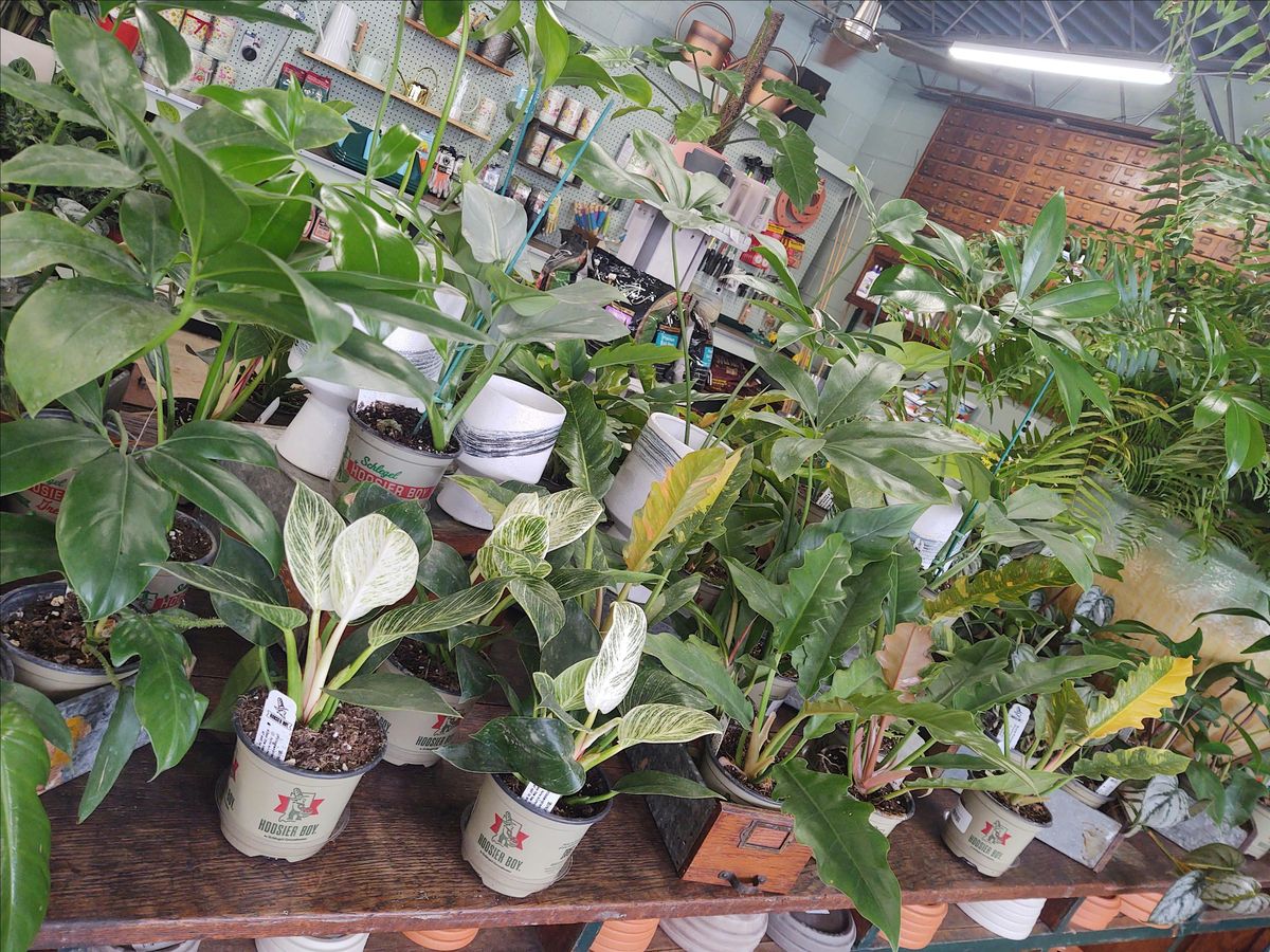 Ladies Only Plant Club