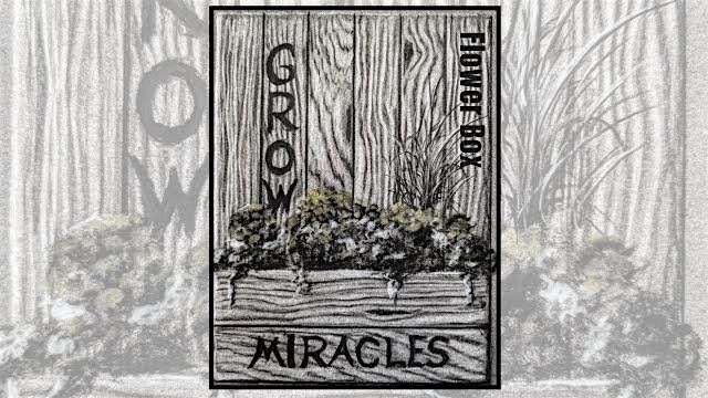 Charcoal Drawing Event "Flower Box" in Reedsburg