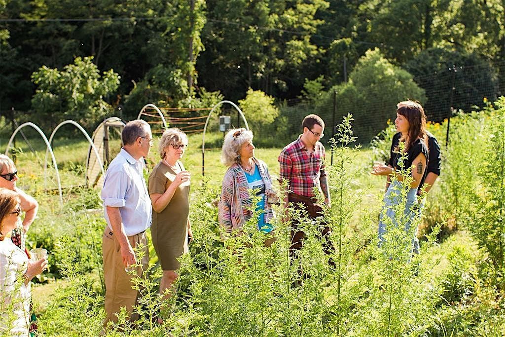 Grow Your Own Herbs: Garden Tour & Tips