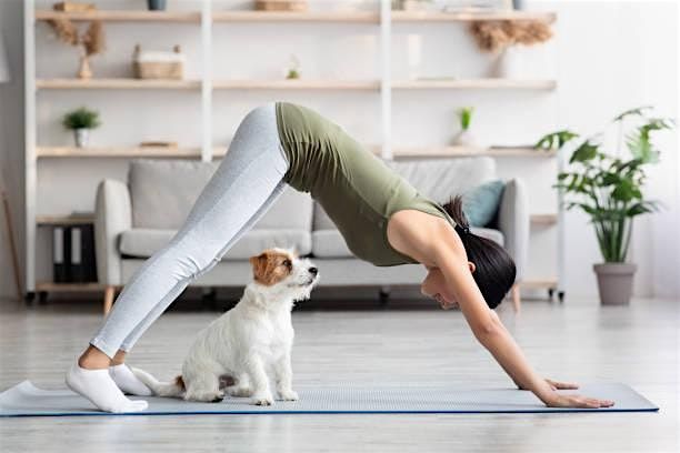 Puppy Yoga with Thrifted Kittens Animal Rescue