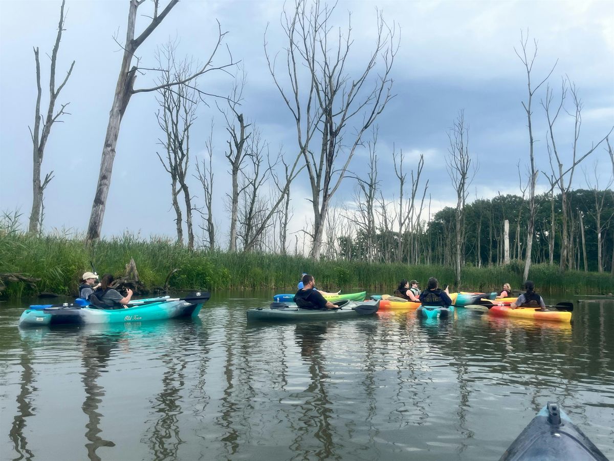 Teachers on the Estuary