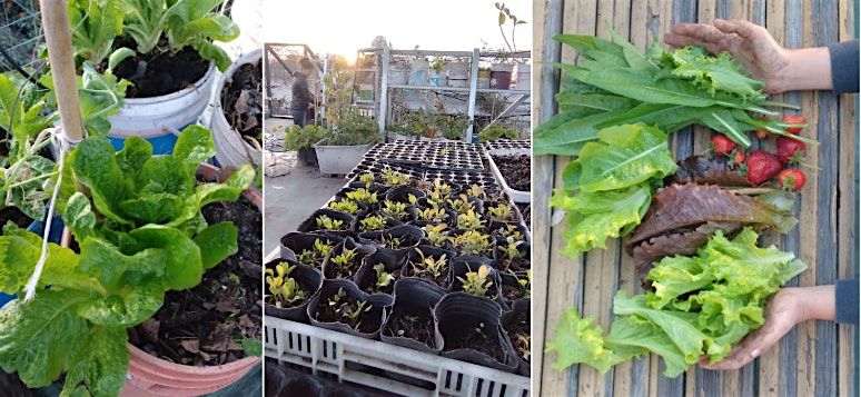 Vivero de la Huerta de O\u00edHoy