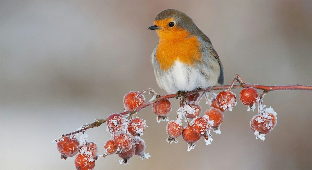 Storytime with Mrs Claus - Sutton Courtenay, Wednesday 3 December