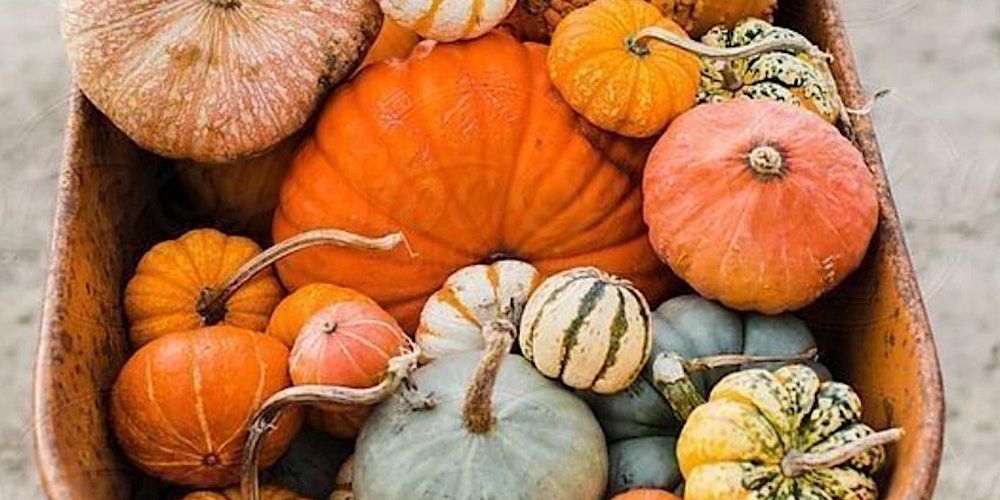 Pumpkin Patch: School Fundraiser