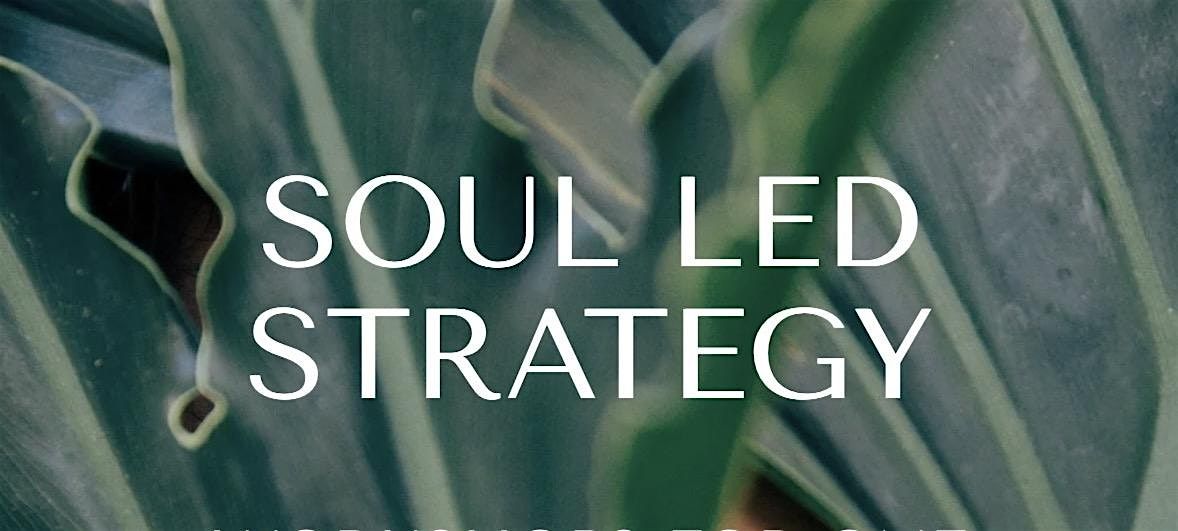 SOUL LED STRATEGY: Grow Your Wellness Business for More Impact and Income