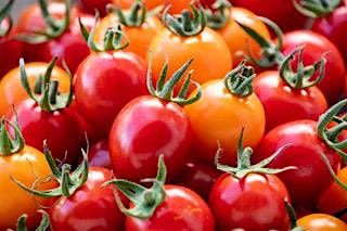 Cooking With the Seasons October 20th