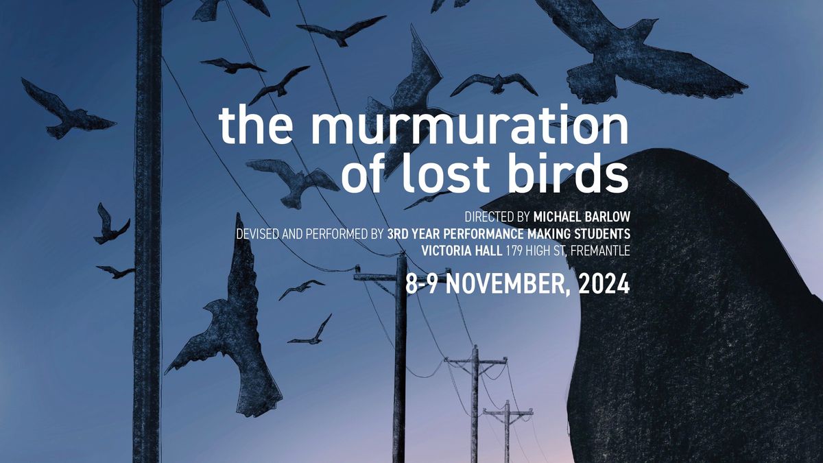 the murmuration of lost birds