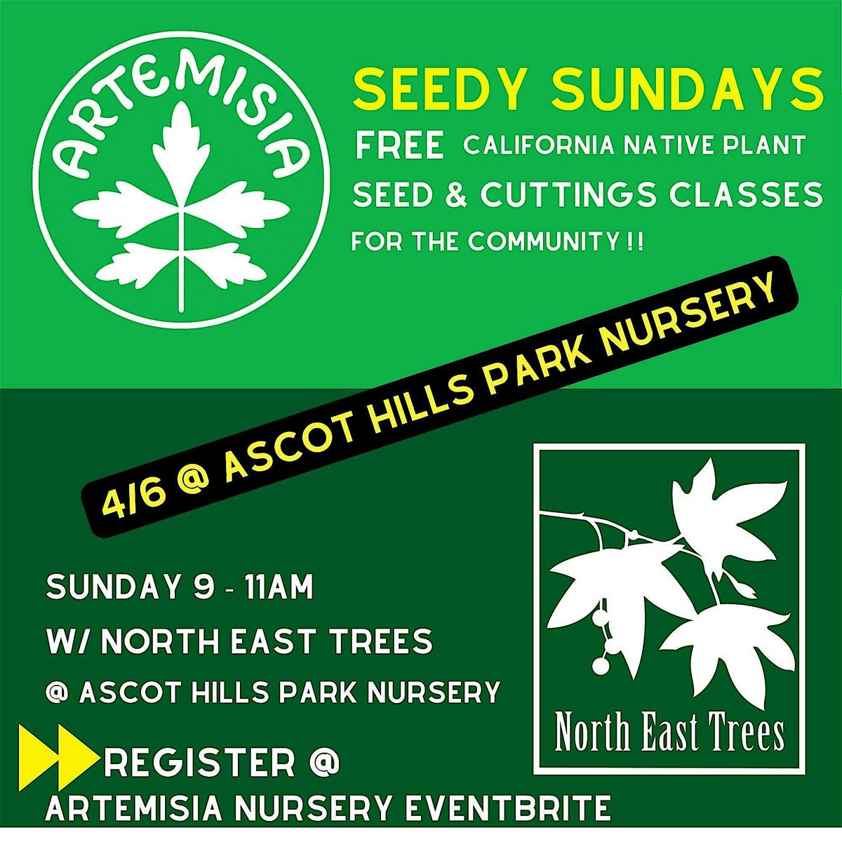 Native Plant & Seed Propogation Classes - FREE @ Ascot Hills Park