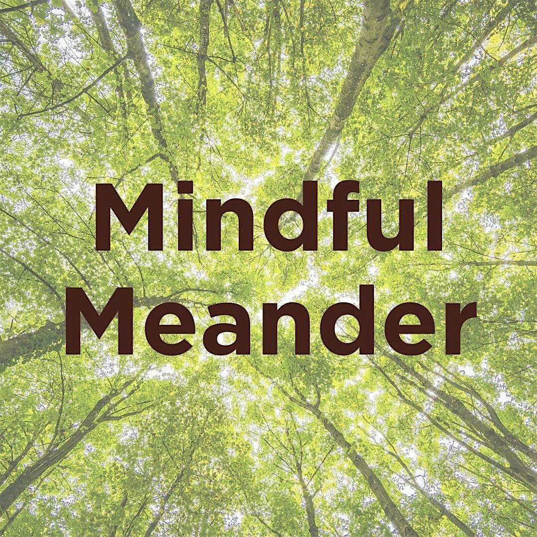 Mindful Meander - A Forest Bathing Experience