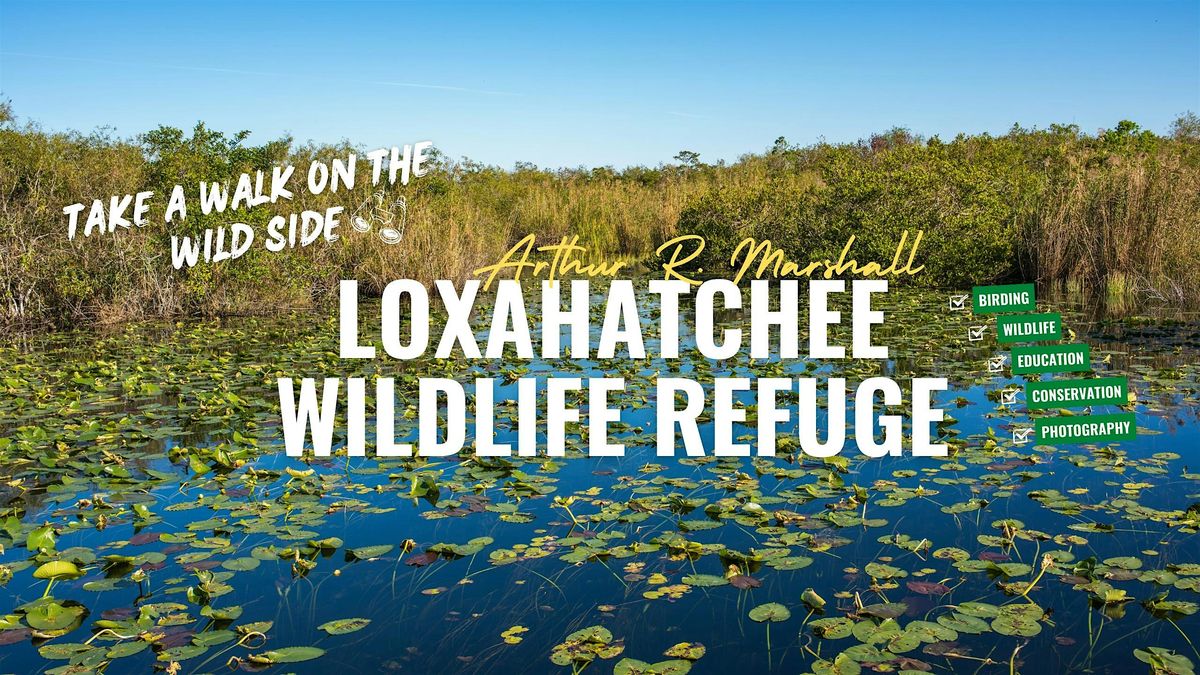 Birding Arthur R. Marshall Loxahatchee NWR with Kar DeGeiso